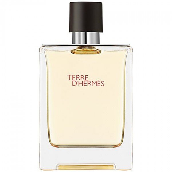 Hermes Terre D'Hermes EDT 100 ml Erkek Parfümü kullananlar yorumlar